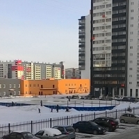 №5
