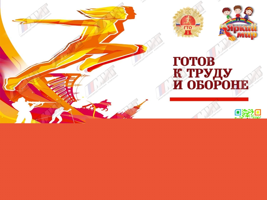 Тир для сдачи норм ГТО (сборно-разборный)